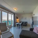 Apartment By The Dunes Near The Sea *